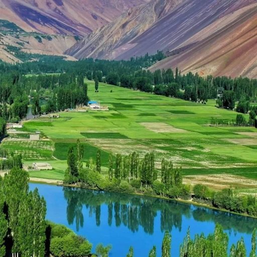 WhatsApp Image 2026-02-03 at 1.21.03 PM