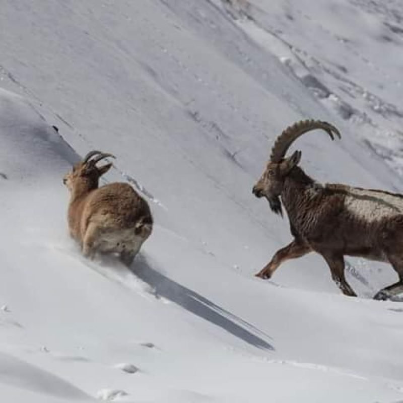 WhatsApp Image 2026-02-03 at 1.21.04 PM (2)