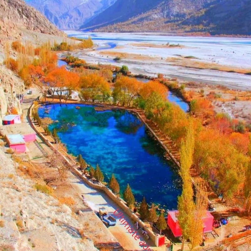 WhatsApp Image 2026-02-03 at 1.21.10 PM (2)