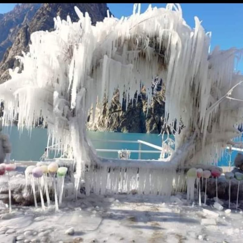 WhatsApp Image 2026-02-03 at 1.21.10 PM