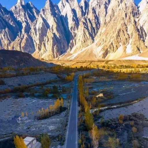 WhatsApp Image 2026-02-03 at 1.31.03 PM (1)