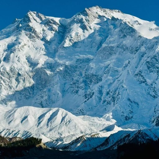 WhatsApp Image 2026-02-03 at 1.45.06 PM (2)